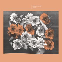 Cover of Amaro