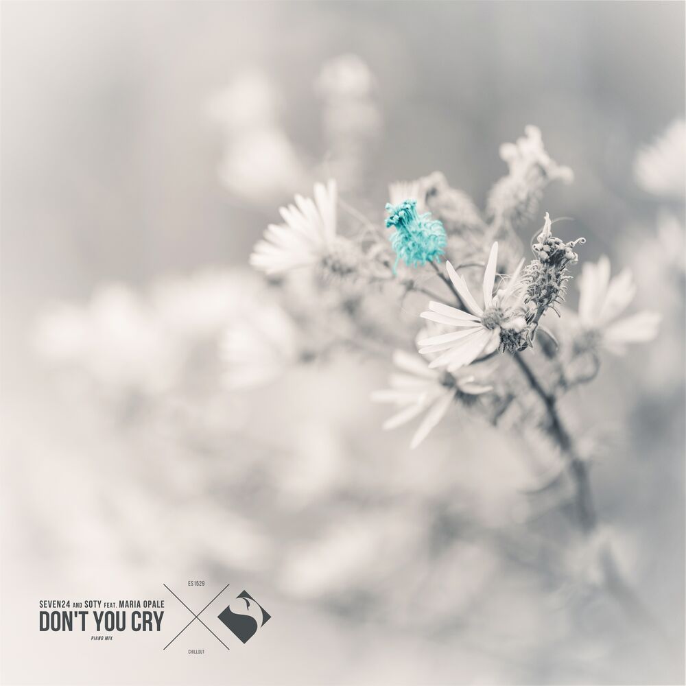 Picture of Don't You Cry