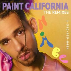 Cover of Paint California (The Remixes)