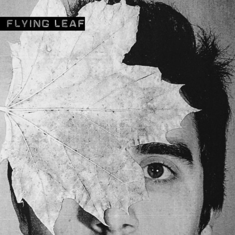 Picture of Flying Leaf