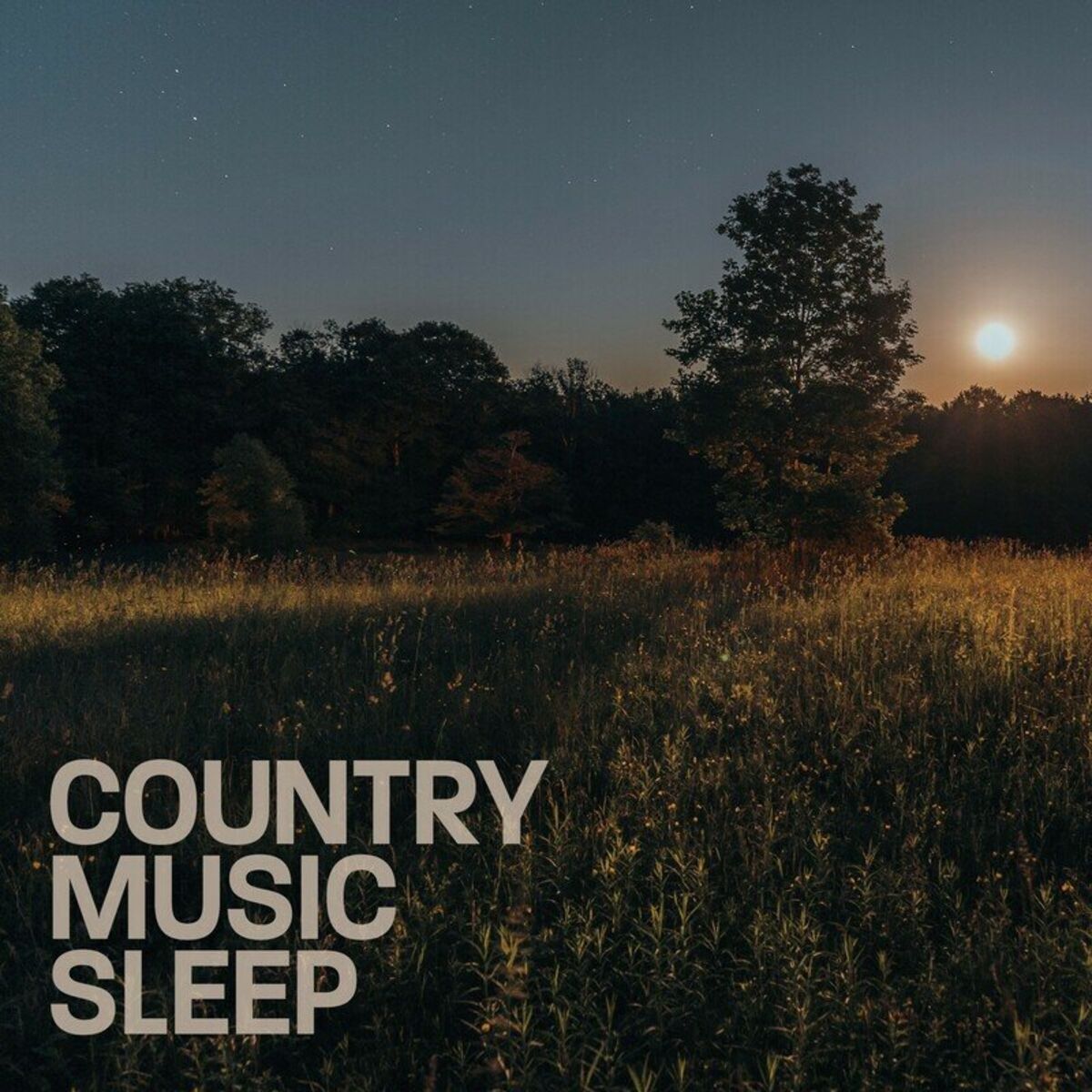 Album cover of Talkin' Tennessee
