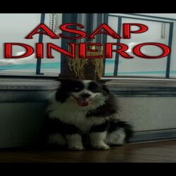 Cover of DINERO