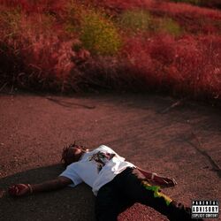 Cover of Blood On The Hills