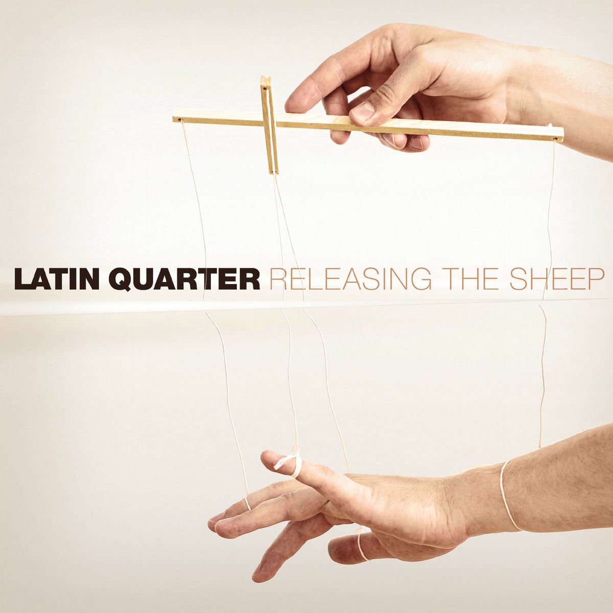 Album cover of Releasing the Sheep
