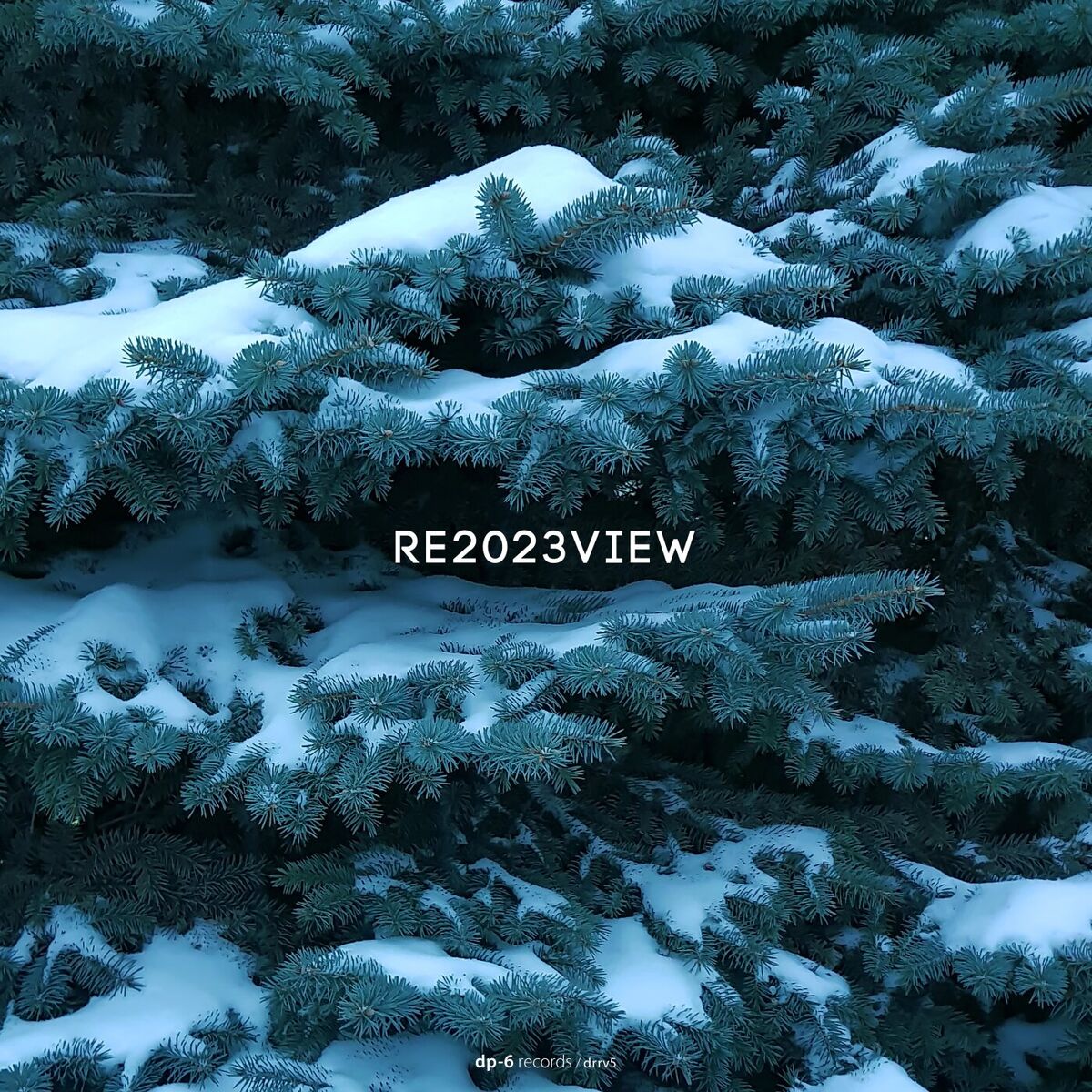 Album cover of Re2023view