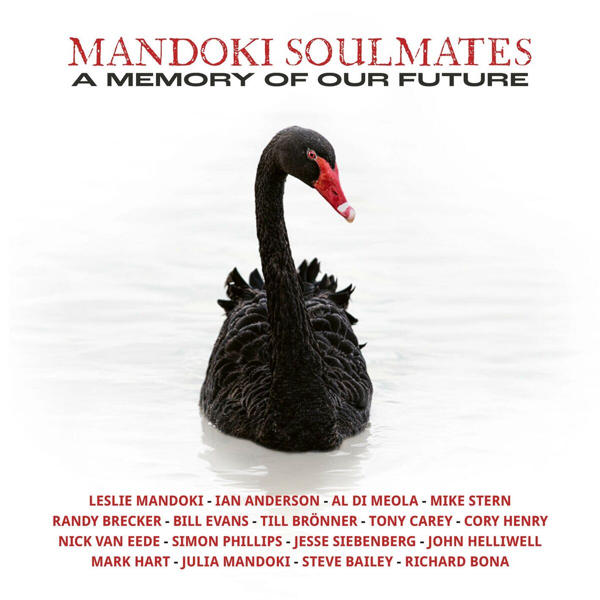 Album cover of The Wanderer