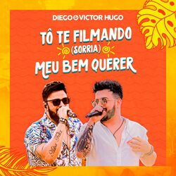 Cover of To Te Filmando (Sorria) / Meu Bem Querer (Ao Vivo)