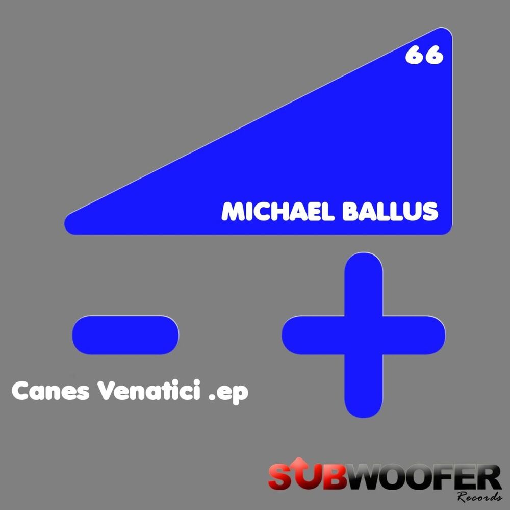 Picture of Canes Venatici