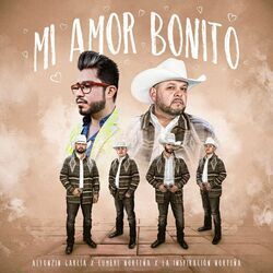 Cover of Mi Amor Bonito