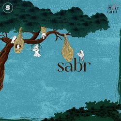 Cover of Kyon Bhatke - Guiding Star (Sabr)