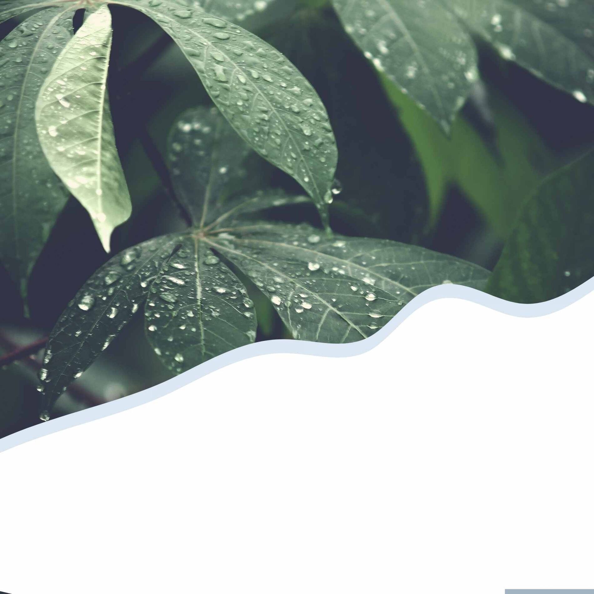 Album cover of Energetic (Personal Wellness)