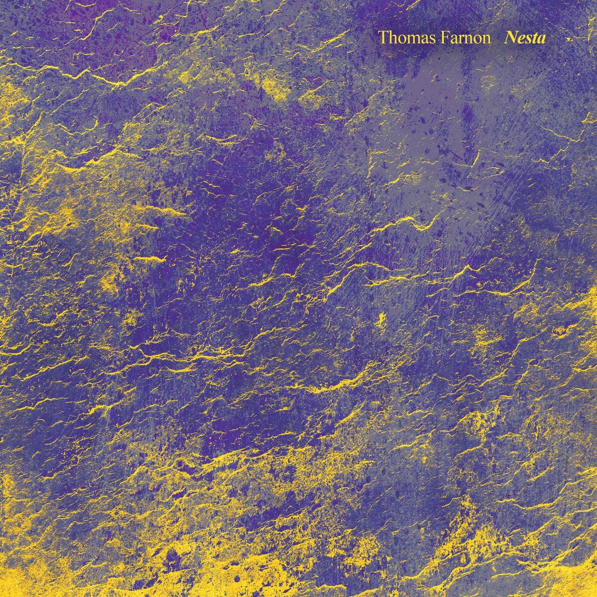 Album cover of Nesta