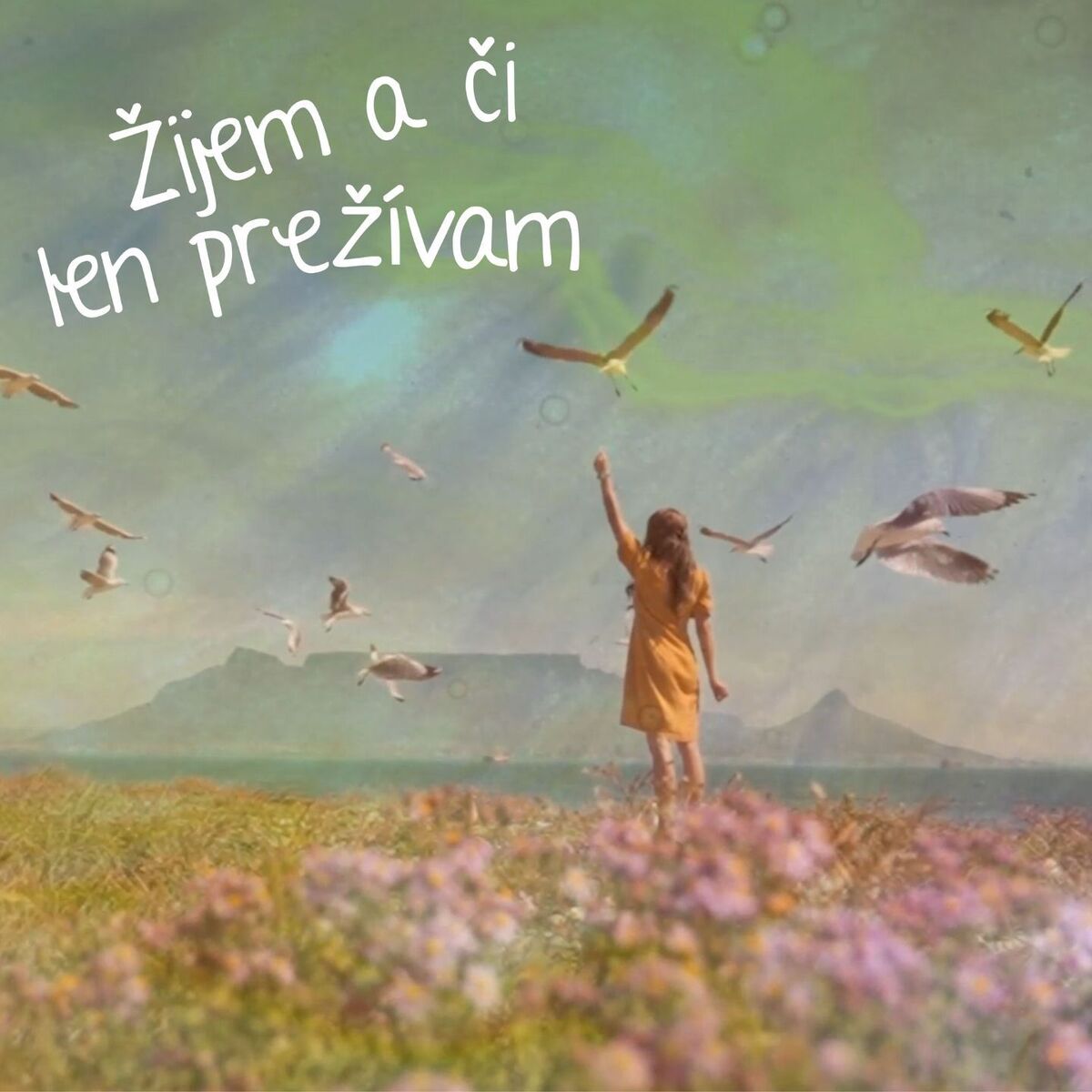 Album cover of Žijem a či len prežívam?