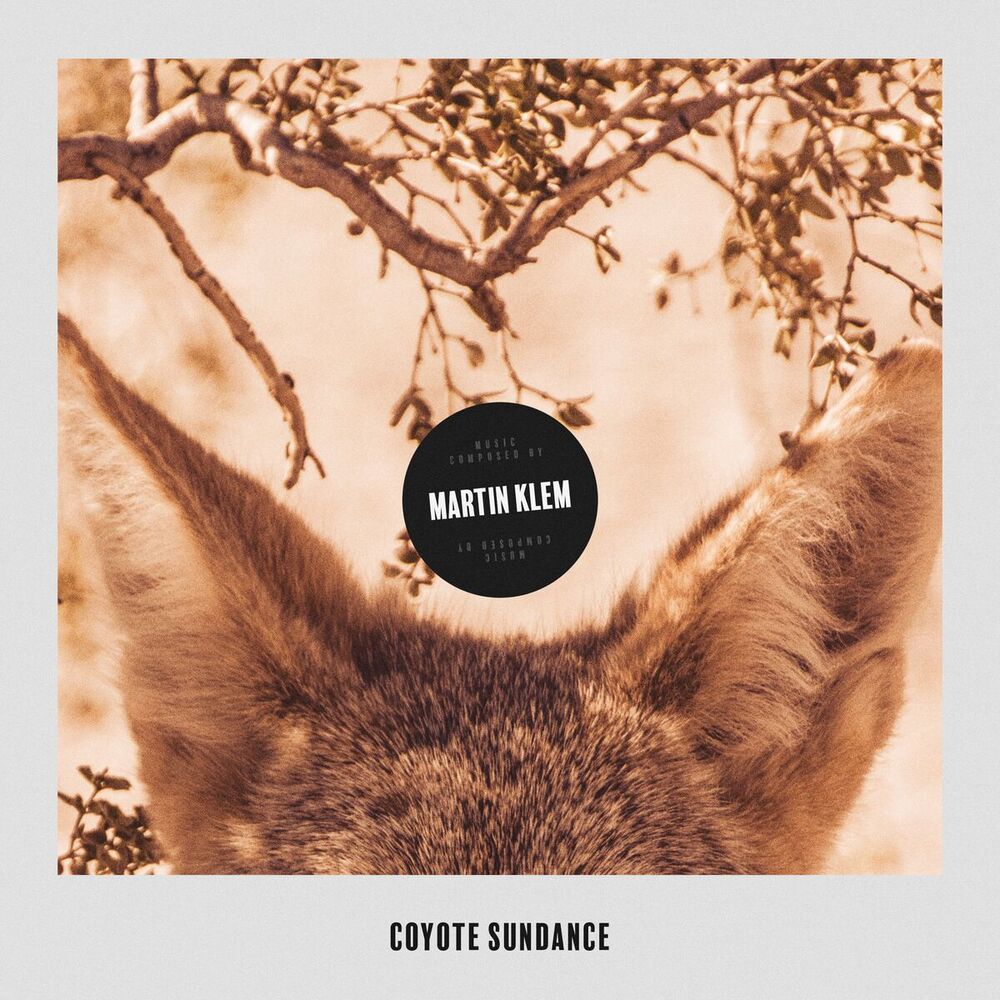 Picture of Coyote Sundance