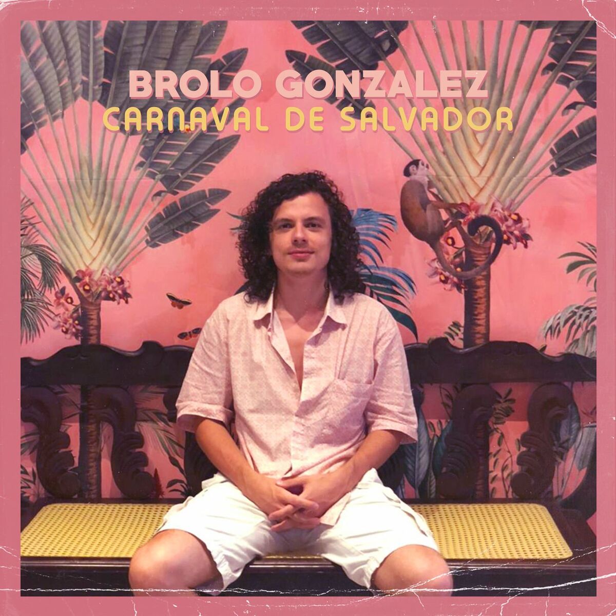 Album cover of Carnaval de Salvador