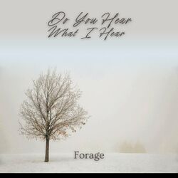 Cover of Do You Hear What I Hear?