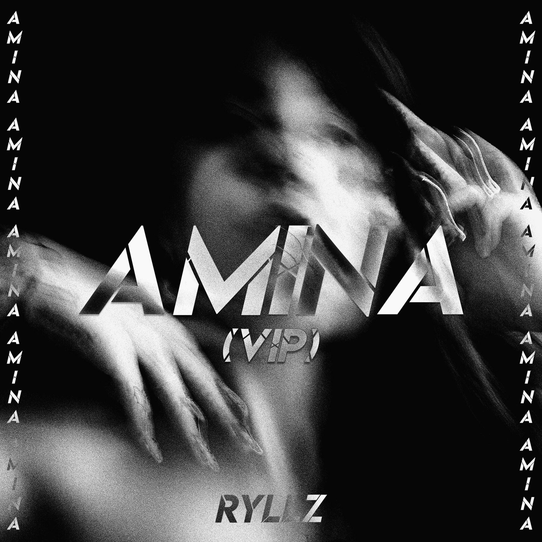 Album cover of AMINA (VIP)