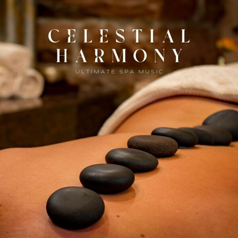 Picture of Celestial Harmony: Zen Music