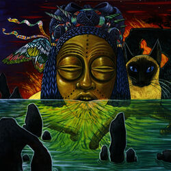 Cover of Naked Acid