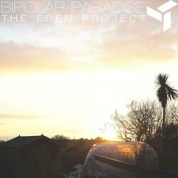 Cover of Bipolar Paradise