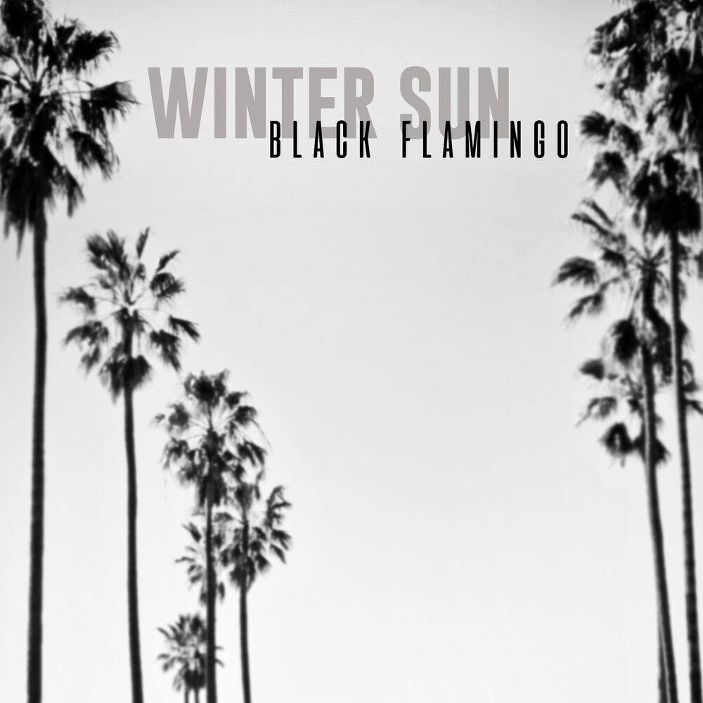 Picture of Winter Sun