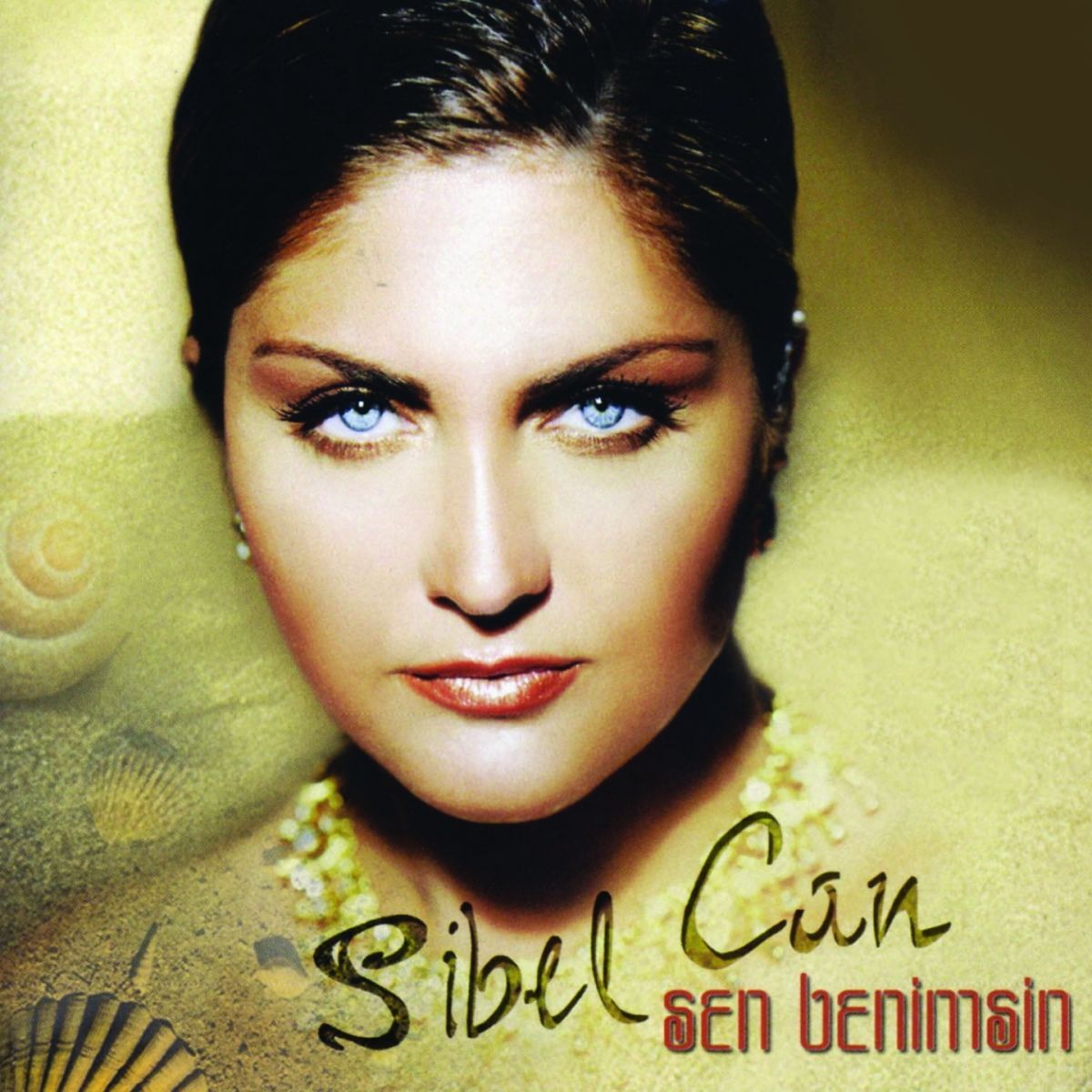 Album cover of Sen Benimsin