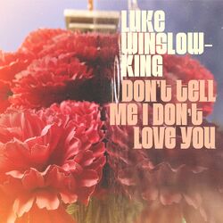 Cover of Don't Tell Me I Don't Love You