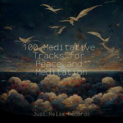 Cover of 100 Meditative Tracks for Peace and Meditation