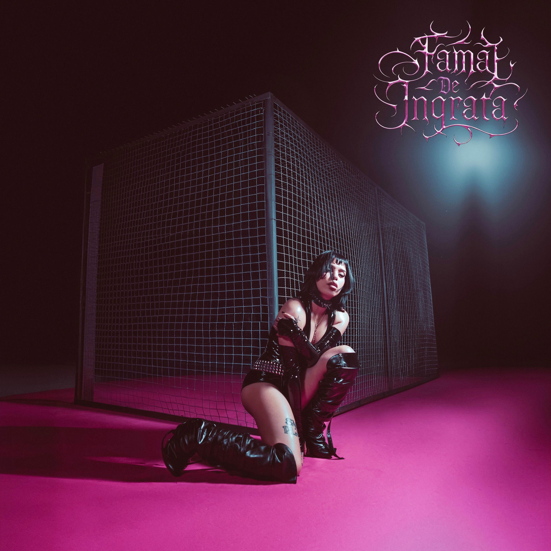 Album cover of Capturo