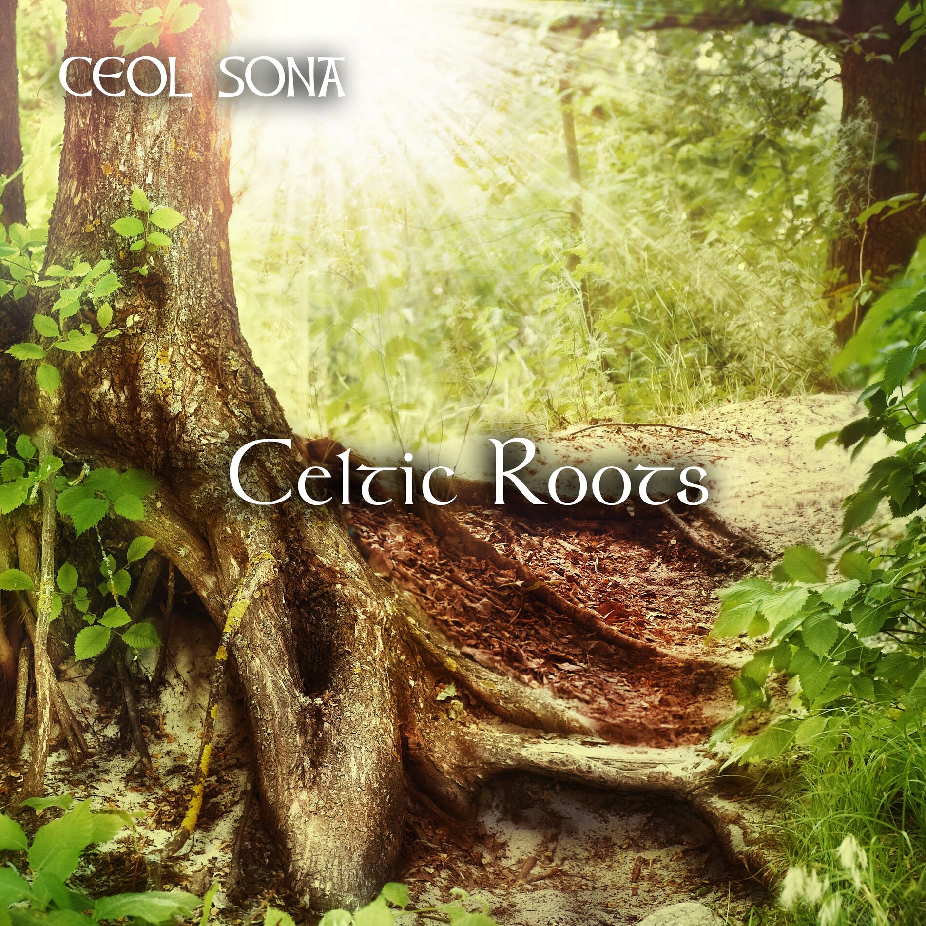 Album cover of Celtic Roots
