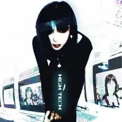 Cover of Wont Miss