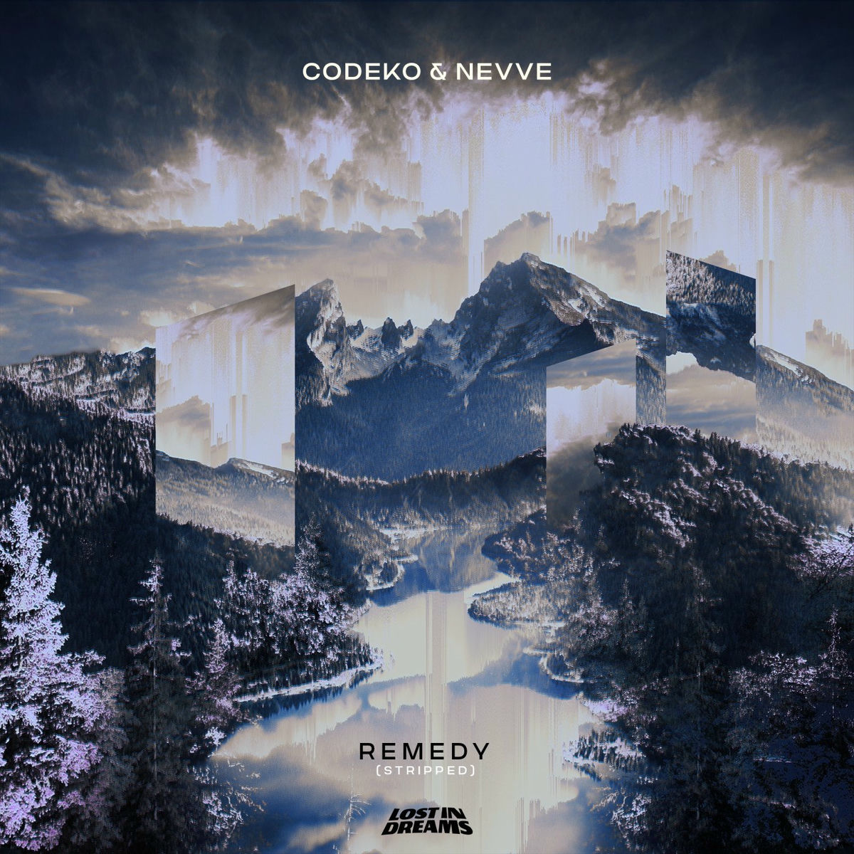 Album cover of Remedy (Stripped)