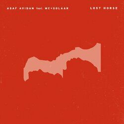 Cover of Lost Horse