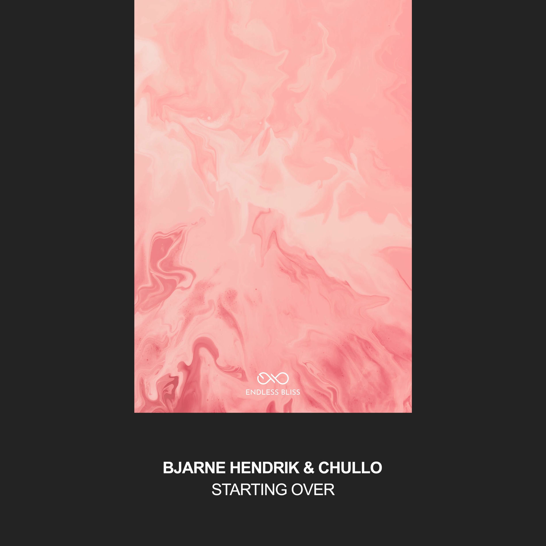 Album cover of Starting Over