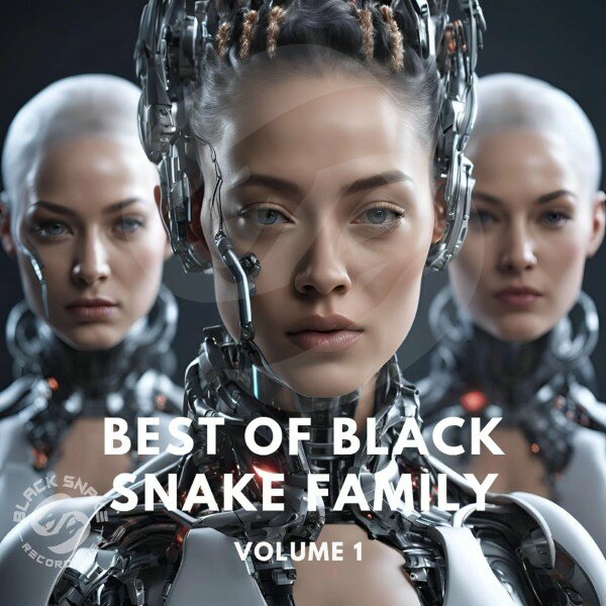 Album cover of Best of Black Snake Family