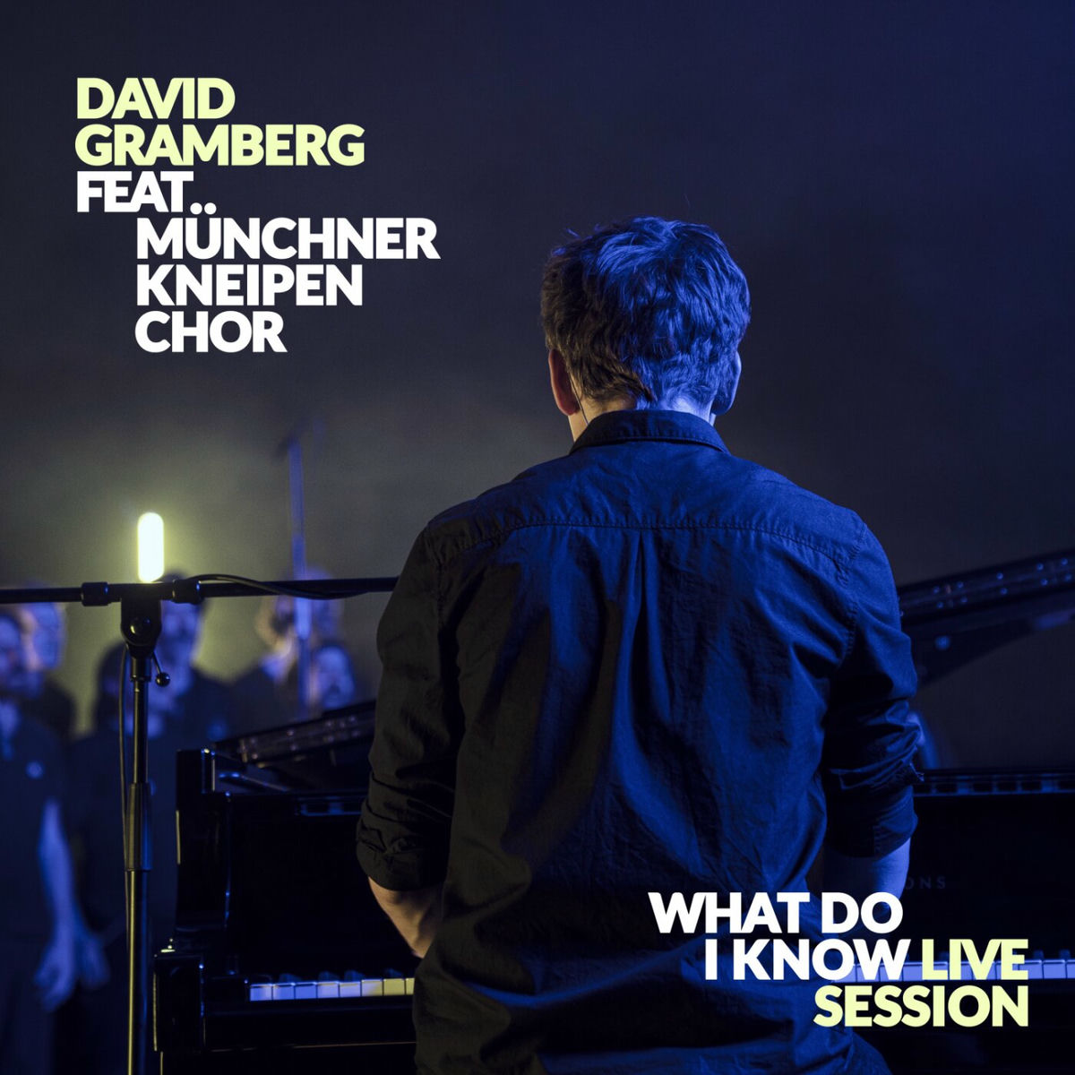 Album cover of What Do I Know