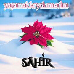 Cover of Yaşamak Koydum Adını