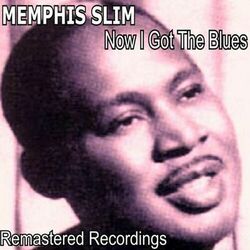 Cover of Now I Got the Blues
