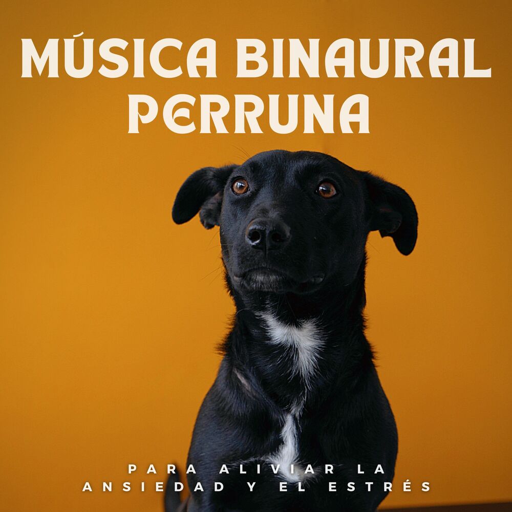 Picture of Música Binaural Perruna Para Aliviar La Ansiedad Y El Estrés