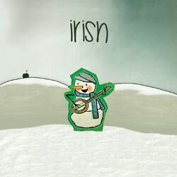 Cover of Irish