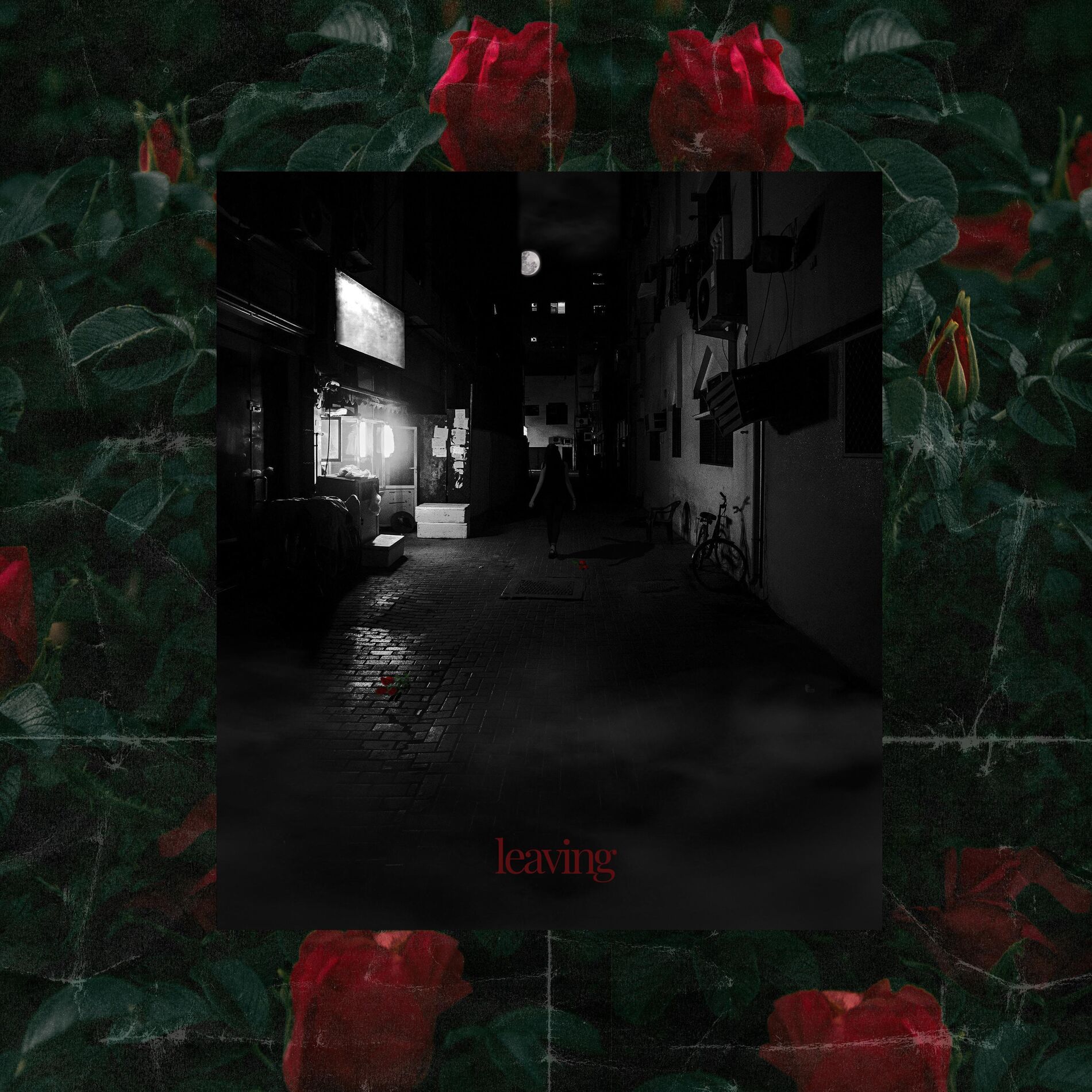 Album cover of Leaving