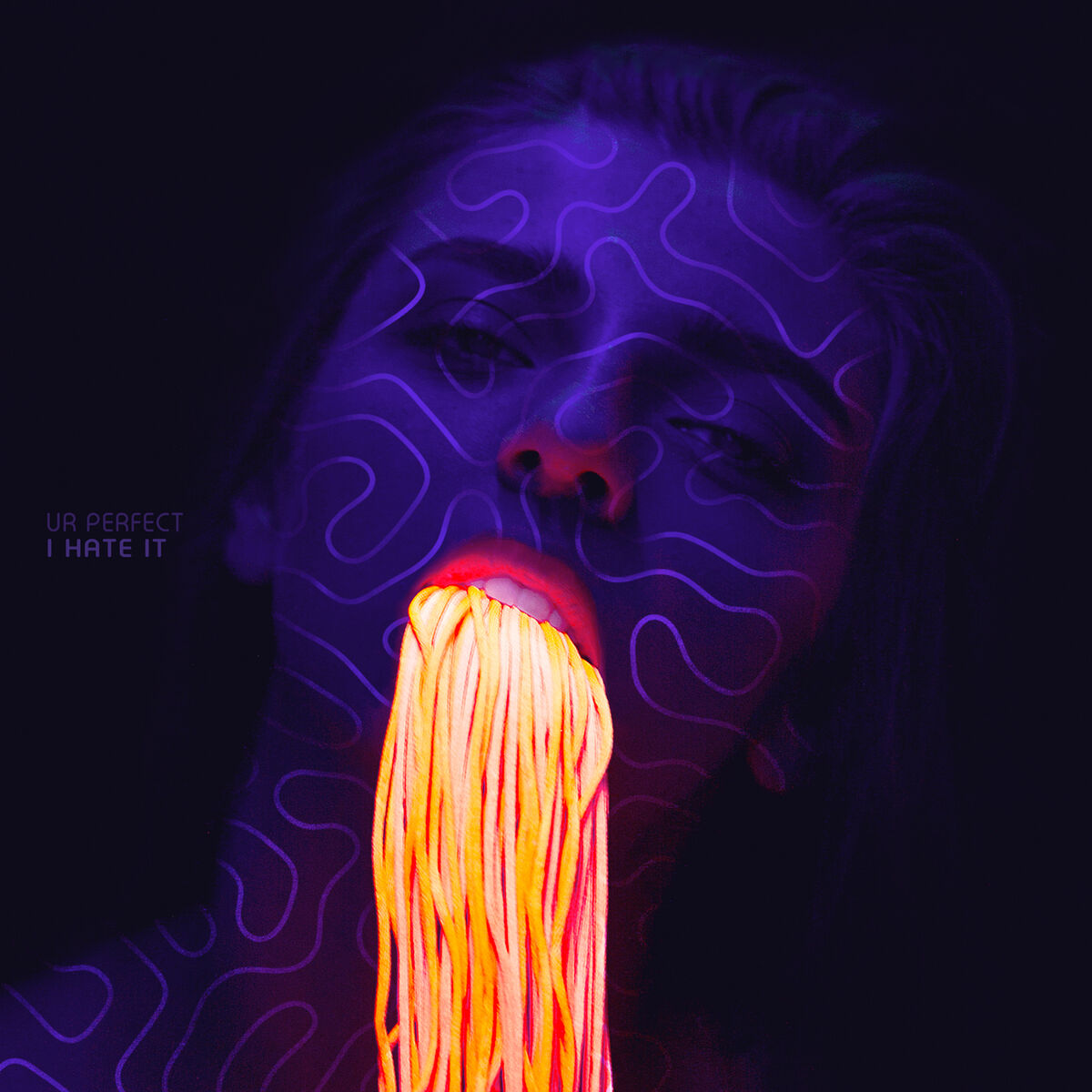 Album cover of Ur Perfect I Hate It