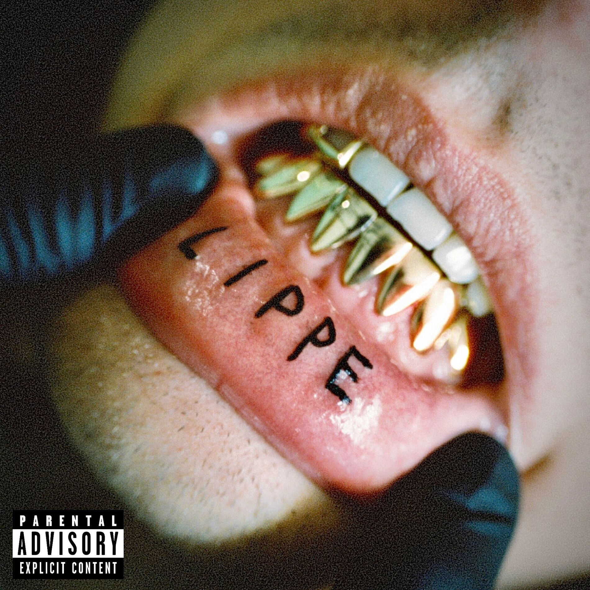 Album cover of LIPPE
