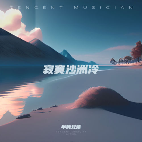 寂寞沙洲冷