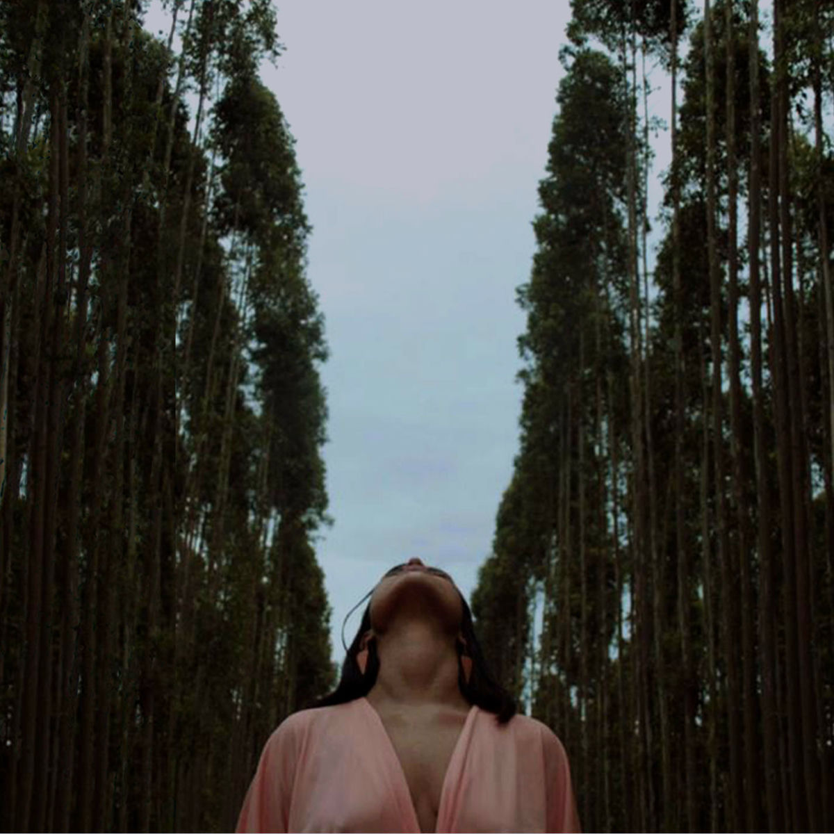 Album cover of Coração Só