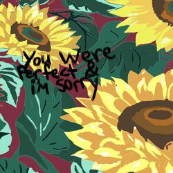 Cover of You Were Perfect & I'm Sorry