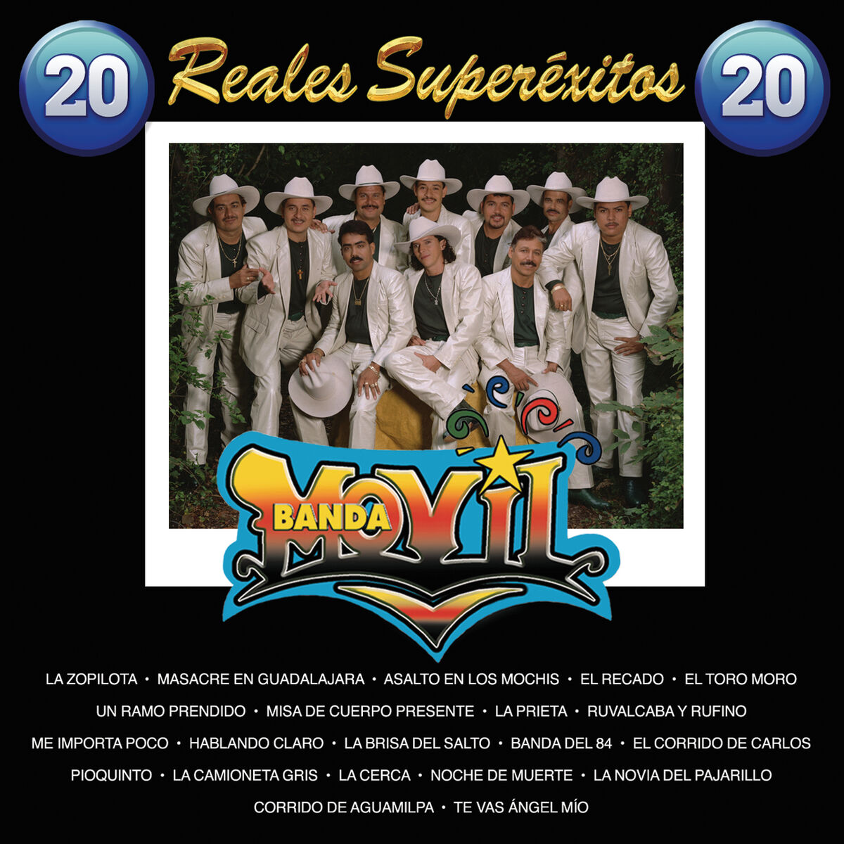Album cover of 20 Reales Super Exitos