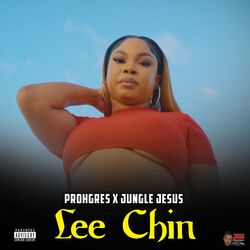 Cover of Lee Chin