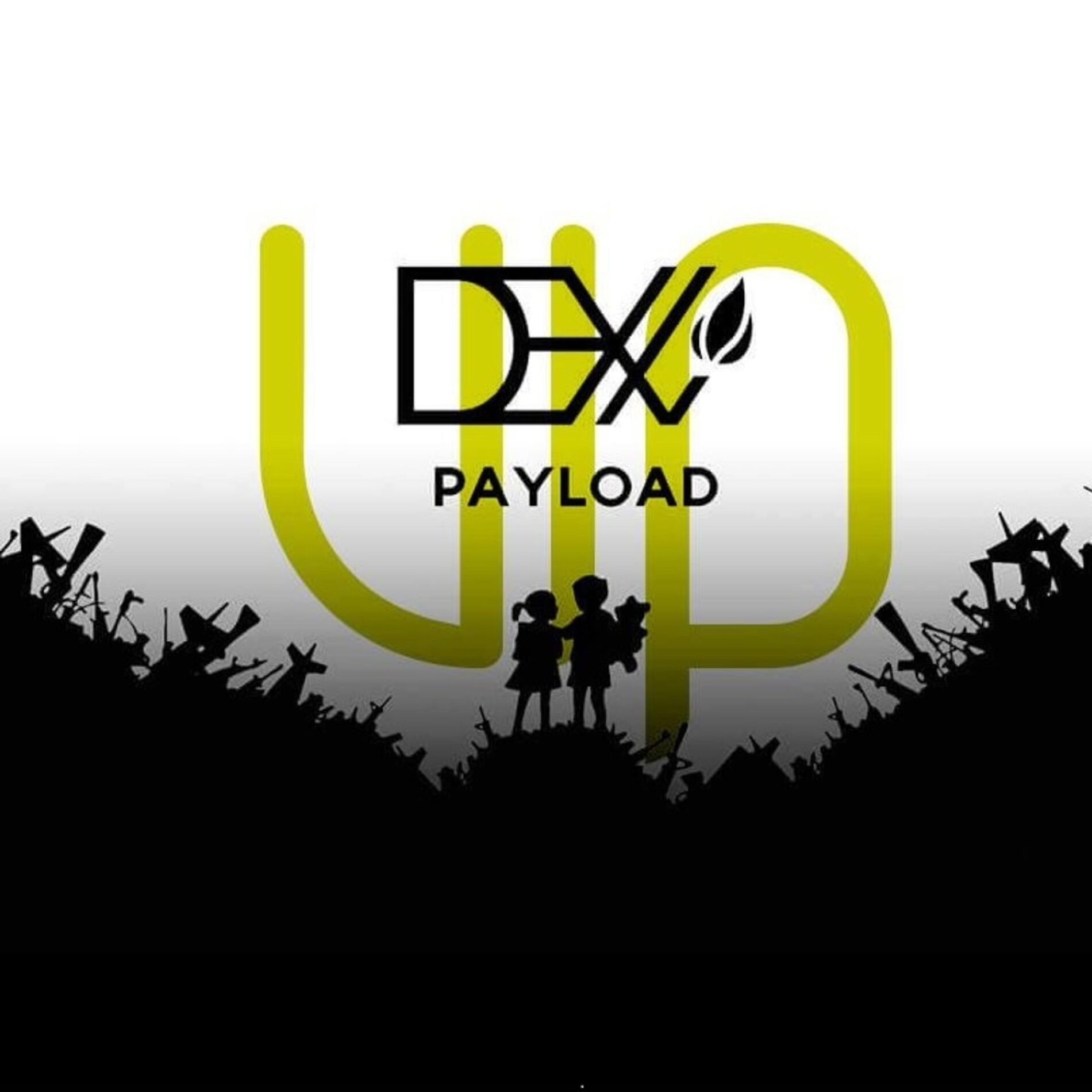 Album cover of Payload VIP