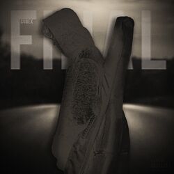 Cover of Final